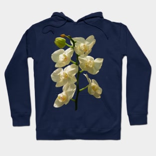 Orchids - Dainty White Orchids Hoodie